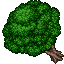 T1 tree2.png