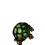 Tortoise.gif